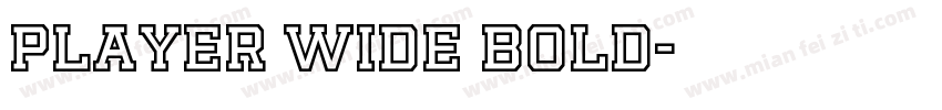 Player Wide Bold字体转换